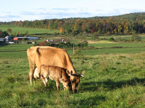 Hawthorne Valley Farm